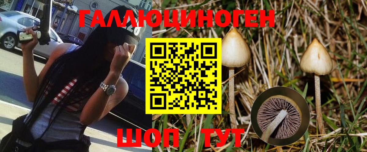 Можга  Псилоцибиновые грибы мухоморы  Вход с VPN  Галлюциногенные грибы Psilocybine cubensis 