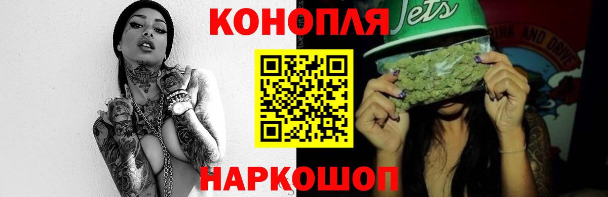 Бошки Шишки Можга